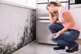 Best Mold Removal for HVAC Installations  in Kettering, OH